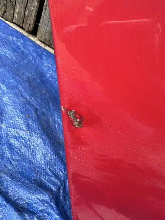 Alfa Romeo Giulia Drzwi Tył Tylne Prawe