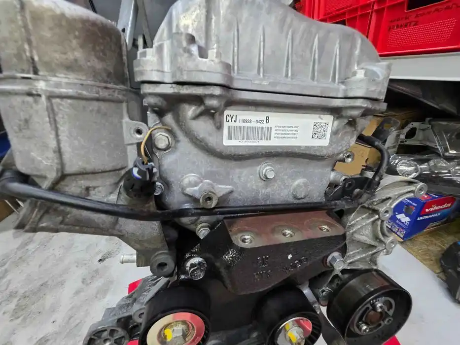 Silnik 2.2 CDTI GOŁY SŁUPEK Opel Antara 2011r. Przeb. 186Tys.Km LNQ A22DM