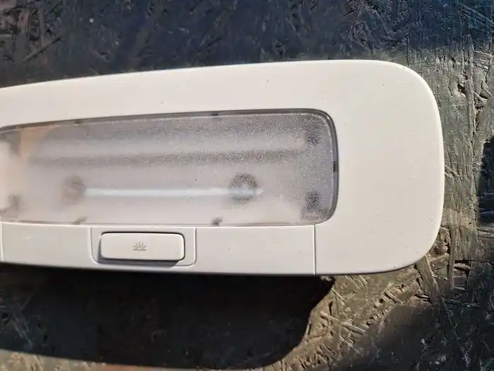 Lampka Podsufitki Vw Golf V 1K0.947.291