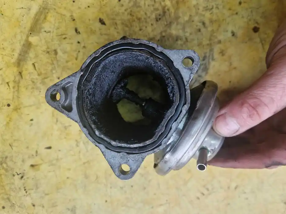 Zawór EGR Vw Audi Seat Skoda 2.0TDI 038.131.501.AF
