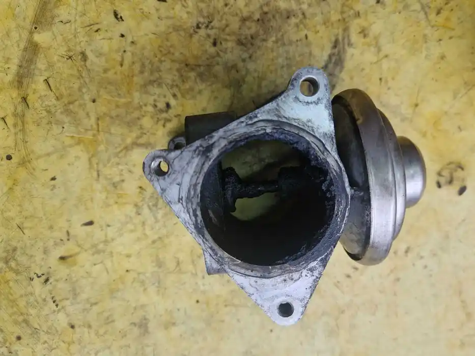 Zawór EGR Vw Audi Seat Skoda 2.0TDI 038.131.501.AF