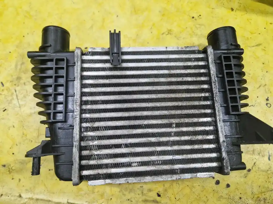 Intercooler Renault Clio III FL 1.5 DCI 820.047.188.8