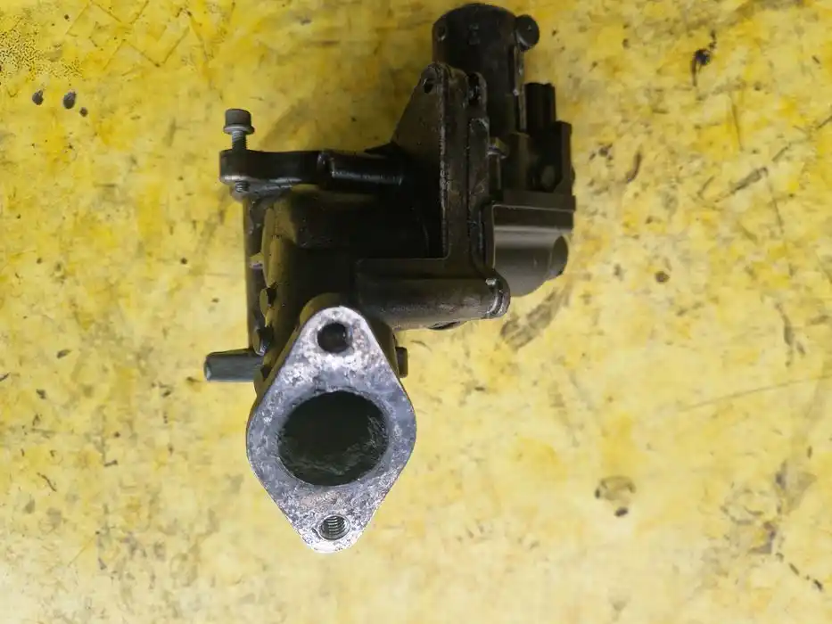 Zawór EGR Vw Passat B6 2.0TDI 03G.131.502