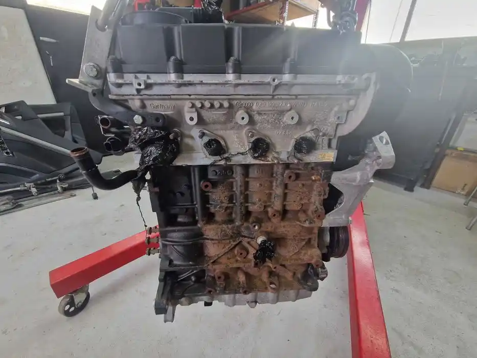 Silnik 2.0 TDI BKD Goły Słupek