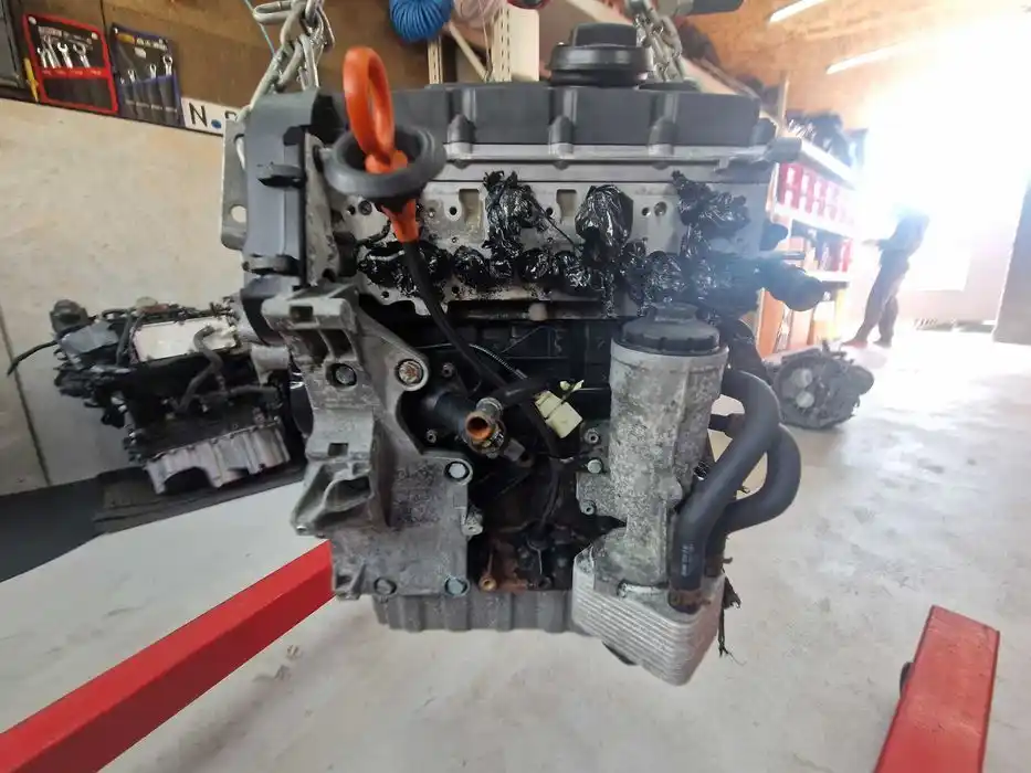 Silnik 2.0 TDI BKD Goły Słupek
