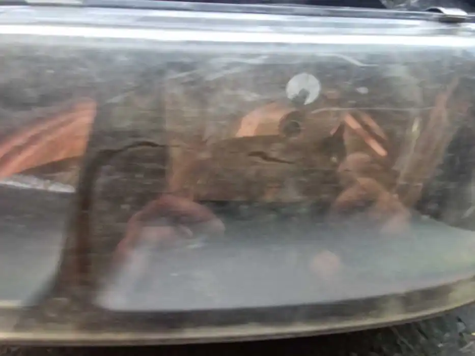 Lampa Lewy Przód RENAULT LAGUNA I LIFT 149.419-00