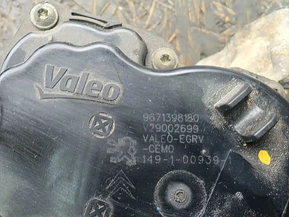 Chłodnica EGR Citroen C5 III x7 2.0 HDI 9671398180