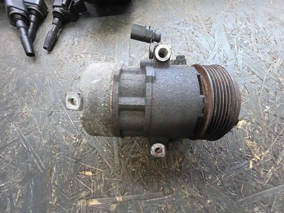 Kompresor Klimatyzacji Vw Audi Seat Skoda 1S0.820.803.A