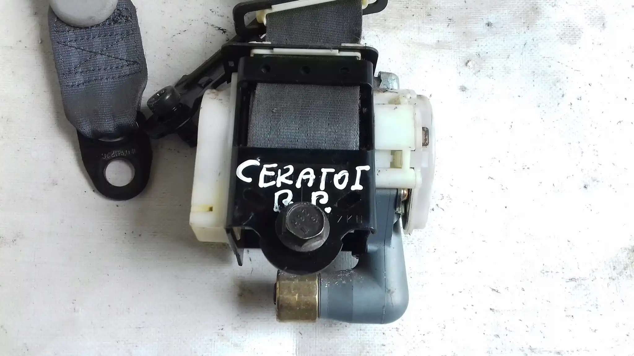 PAS BEZPIECZEŃSTWA PRAWY PRZÓD PRZEDNI 888202F001 KIA CERATO I 03-08