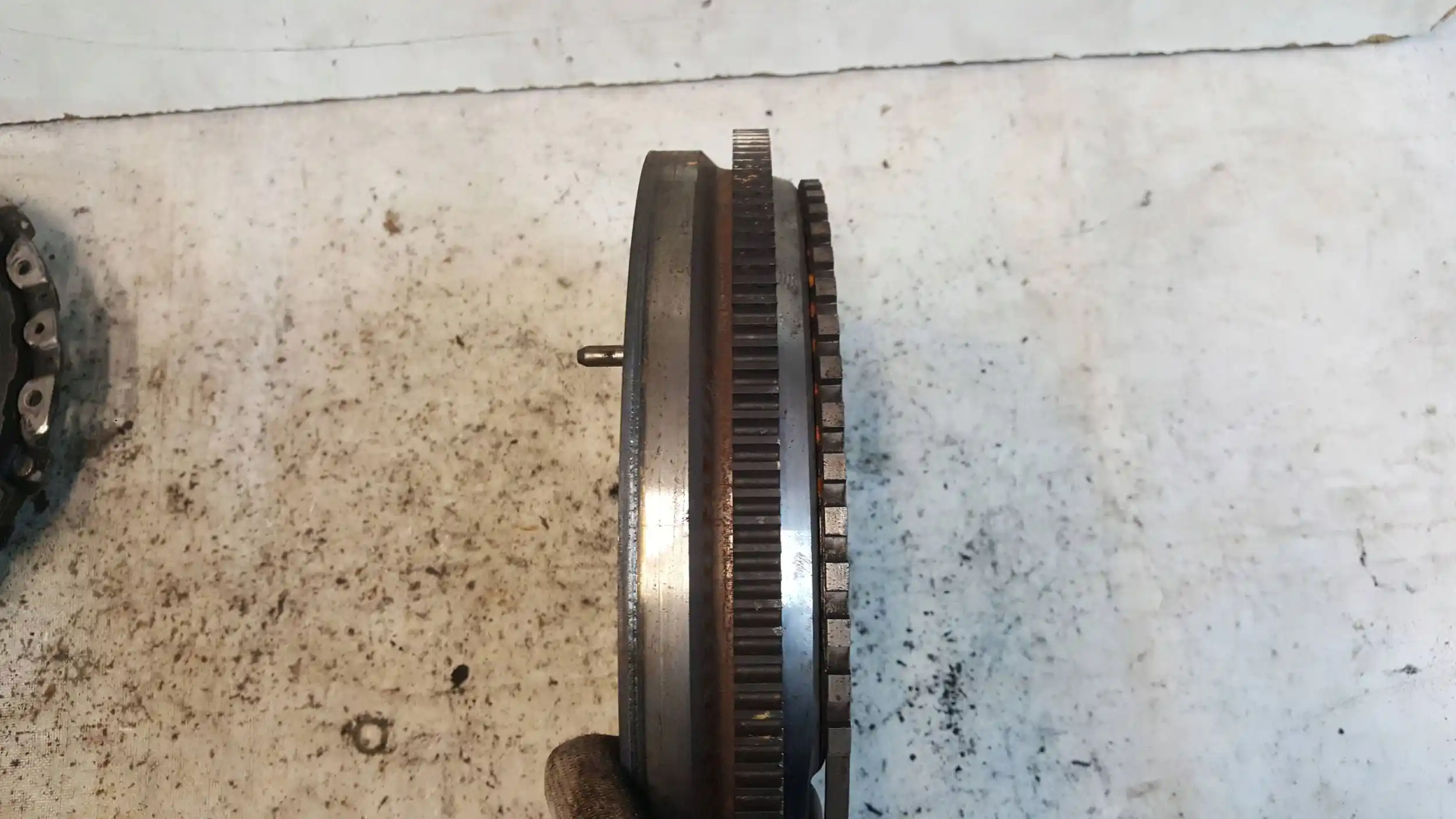 KOŁO DWUMASOWE DWUMAS A6650301205 SSANGYONG KYRON 2.0 XDI 05-