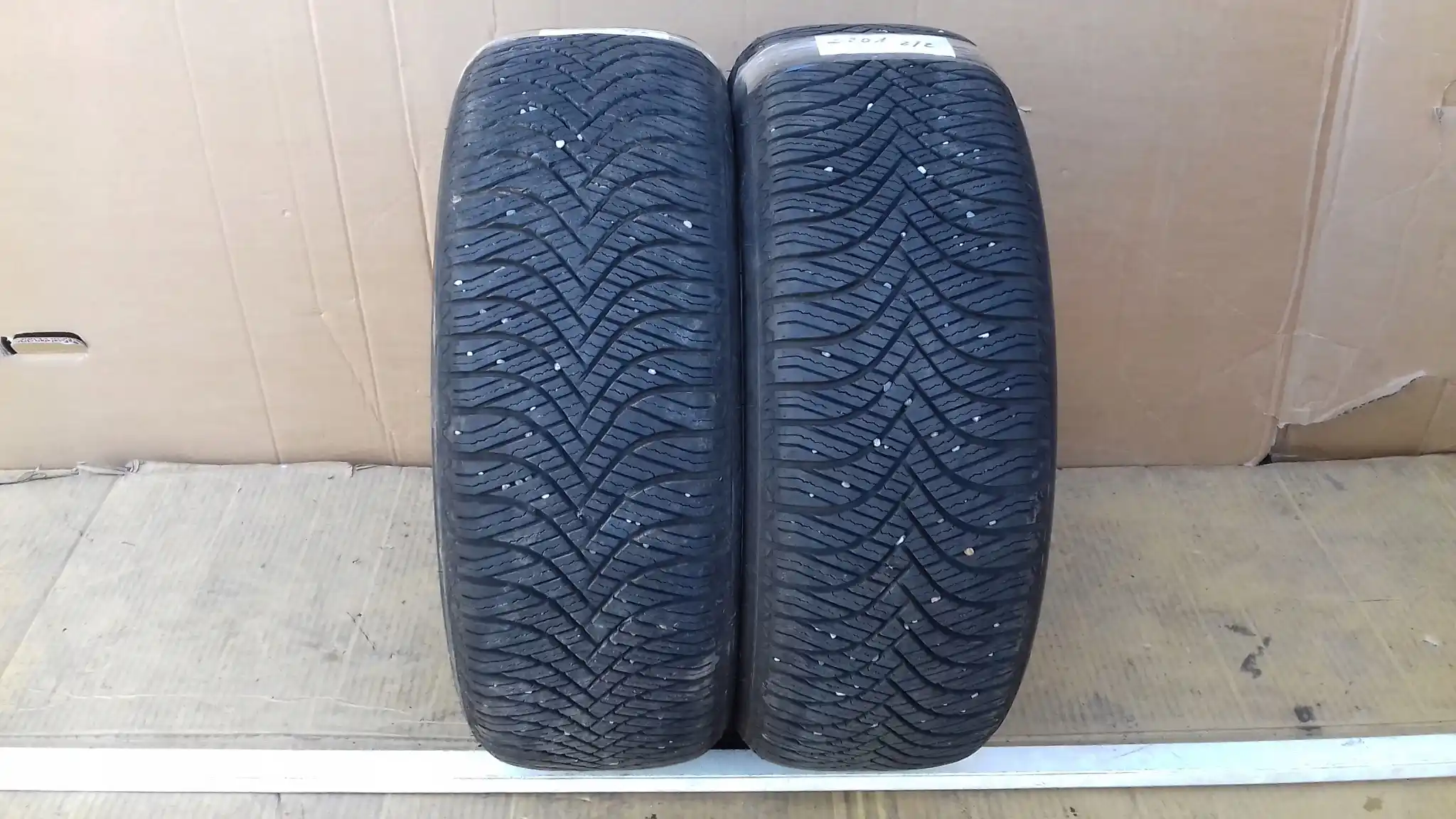 OPONY CAŁOROCZNE GOODRIDE ALLSEASON ELTE Z401 205/55/16 91V 2023